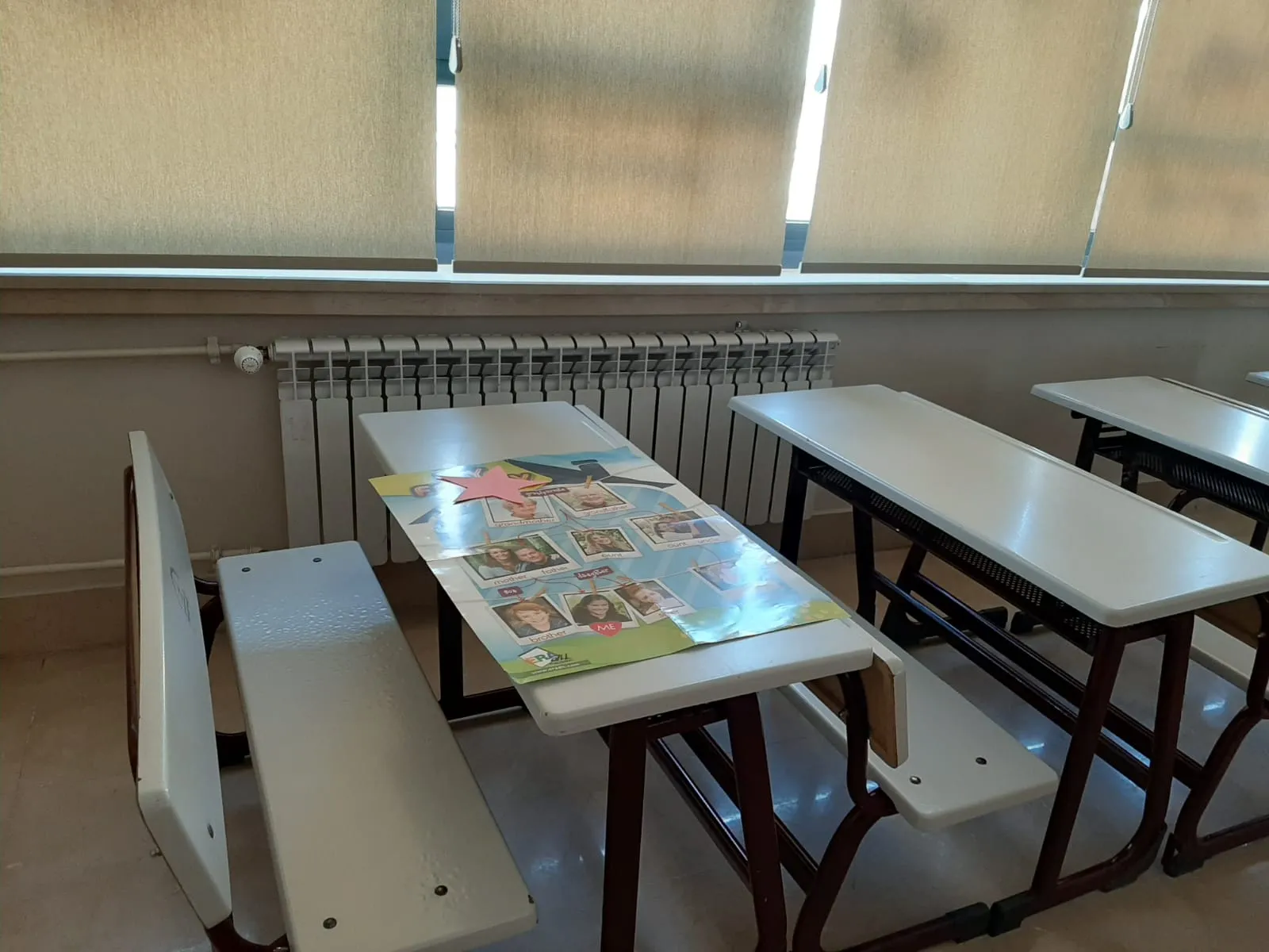 Aluminyum dokum radyator 14