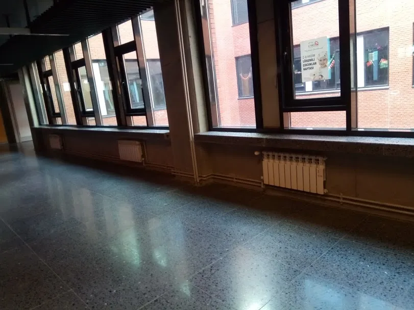Wellini alüminyum döküm radyatör uygulaması, fotoğraf 204